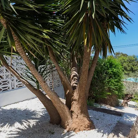 Villa Siesta *